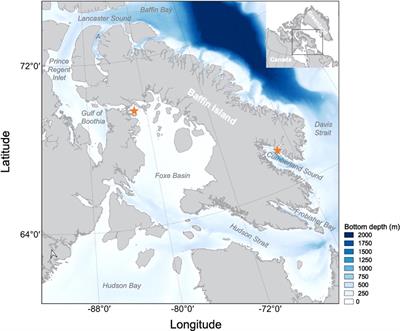 Year-round foraging across large spatial scales suggest that bowhead whales have the potential to adapt to climate change